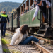 O turistă din Giurgiu a căzut din Mocănița Huțulca, în timp ce trenul pleca din gară. Femeia a recunoscut că nu a respectat indicațiile personalului și a ajuns la spital