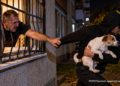 ”Influencerul” Dorin Aelenei a rămas fără câine după ce l-a scos pe geam să-și facă nevoile. Un individ i-a furat patrupedul de sub nas și l-a lovit peste mână când a încercat să-l oprească