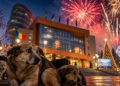 Grija Primăriei Suceava pentru animale și mediu s-a evaporat. După ce anul trecut anunța că renunță la artificii pentru a proteja câinii și a reduce poluarea, municipalitatea pregătește revenirea bubuiturilor de Anul Nou
