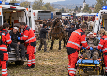 Un adolescent de 16 ani și un bărbat de 33 de ani, loviți de un cal la târgul din comuna Satu Mare. Victimele au ajuns la spital cu traumatisme cranio-cerebrale