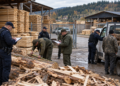 Control la două depozite ale unei firme din Molid, după depistarea unui transport de cherestea fără acte. Amenzi de 10.000 de lei și peste 27 de metri cubi de material lemnos confiscați valoric