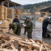 Control la două depozite ale unei firme din Molid, după depistarea unui transport de cherestea fără acte. Amenzi de 10.000 de lei și peste 27 de metri cubi de material lemnos confiscați valoric