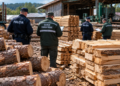 Controale silvice la Găinești și Slatina. Lemn fără acte confiscat, iar un administrator este cercetat pentru fals informatic în SUMAL