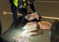 Tânăr de 21 de ani, prins la Nădlac cu peste 7 kilograme de canabis aduse din Spania. Drogurile urmau să fie vândute în România