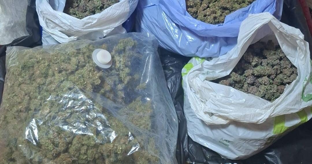 Aproape 2,8 kilograme de canabis, trimise din Spania prin curier. Bărbat de 49 de ani, prins în flagrant la Botoșani când ridica pachetul