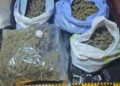 Aproape 2,8 kilograme de canabis, trimise din Spania prin curier. Bărbat de 49 de ani, prins în flagrant la Botoșani când ridica pachetul
