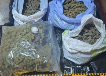 Aproape 2,8 kilograme de canabis, trimise din Spania prin curier. Bărbat de 49 de ani, prins în flagrant la Botoșani când ridica pachetul