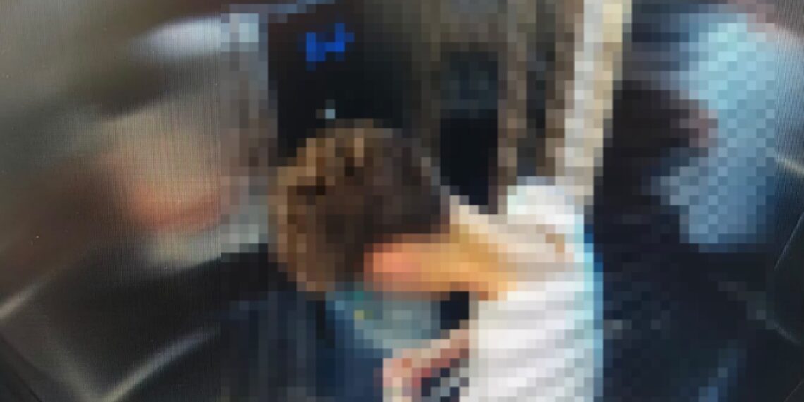 Un elev de 16 ani vindea canabis și ecstasy altor minori și tineri cu bani. Își promova drogurile pe o aplicație și le vindea de acasă, când părinții lipseau. DIICOT a găsit 38 de pastile ecstasy pregătite pentru vânzare