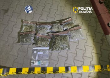 Colet cu 1,7 kg de canabis și 65 de grame de cocaină, trimis din Spania la Galați. DIICOT a încurcat ”livrarea” către doi bărbați
