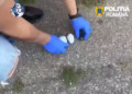 Tânăr de 25 de ani, prins în flagrant cu mai multe doze de canabis. Vindea drogurile cu 60-70 de lei gramul și a fost arestat preventiv
