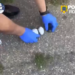 Tânăr de 25 de ani, prins în flagrant cu mai multe doze de canabis. Vindea drogurile cu 60-70 de lei gramul și a fost arestat preventiv