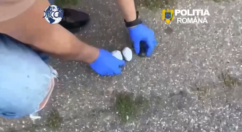 Tânăr de 25 de ani, prins în flagrant cu mai multe doze de canabis. Vindea drogurile cu 60-70 de lei gramul și a fost arestat preventiv