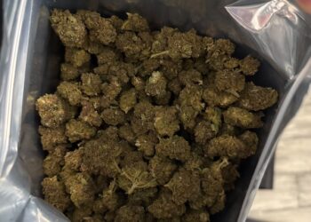 Doi tineri de 20 și 23 de ani, prinși în București în timp ce preluau și predau un colet cu peste 1,2 kilograme de canabis. Reținuți de DIICOT, după două acțiuni succesive