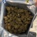 Doi tineri de 20 și 23 de ani, prinși în București în timp ce preluau și predau un colet cu peste 1,2 kilograme de canabis. Reținuți de DIICOT, după două acțiuni succesive