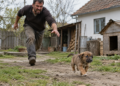 Sălbatic din Arbore, reținut și apoi lăsat în libertate, după ce a omorât un cățeluș de trei luni călcându-l pe cap. Individul era beat și deranjat de câinii cumnatului său