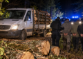 Furt de lemne ca-n filme la Boroaia. Autoutilitară urmărită kilometri întregi, suspecți care au sărit din mers și 2,3 mc de fag găsiți în benă. Trei bărbați au fost reținuți