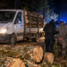 Furt de lemne ca-n filme la Boroaia. Autoutilitară urmărită kilometri întregi, suspecți care au sărit din mers și 2,3 mc de fag găsiți în benă. Trei bărbați au fost reținuți