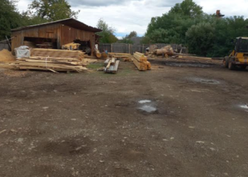 Documente fictive pentru transporturi de lemn, descoperite la Bilca și Vicovu de Sus. Peste 160 de metri cubi de material lemnos, vizați de controale și confiscări