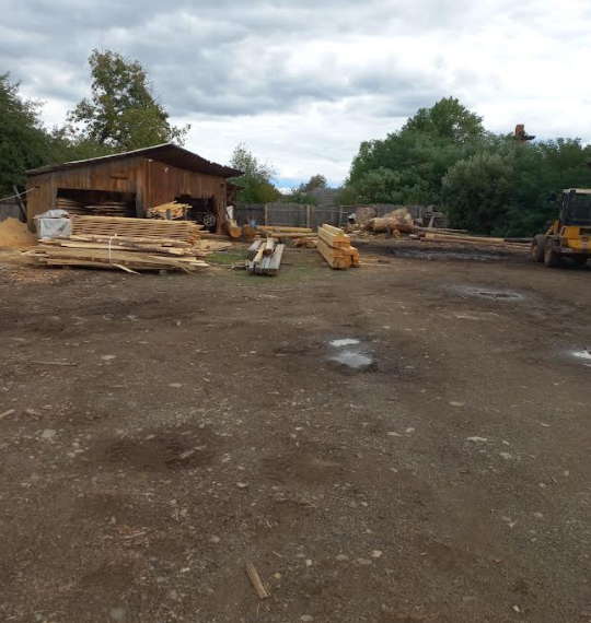 Documente fictive pentru transporturi de lemn, descoperite la Bilca și Vicovu de Sus. Peste 160 de metri cubi de material lemnos, vizați de controale și confiscări