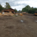 Documente fictive pentru transporturi de lemn, descoperite la Bilca și Vicovu de Sus. Peste 160 de metri cubi de material lemnos, vizați de controale și confiscări