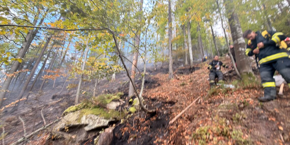 Incendiu de proporții într-o pădure din Marginea! Flăcările au cuprins aproximativ 15 hectare. Peste 100 de pompieri, silvicultori și voluntari s-au luptat cu focul. Intervenția a continuat și pe timpul nopții