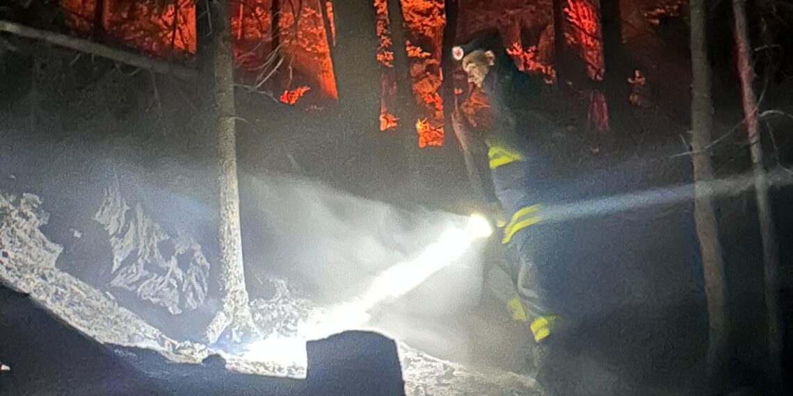 Incendiu de proporții într-o pădure din Marginea! Flăcările au cuprins aproximativ 15 hectare. Peste 100 de pompieri, silvicultori și voluntari s-au luptat cu focul. Intervenția a continuat și pe timpul nopții
