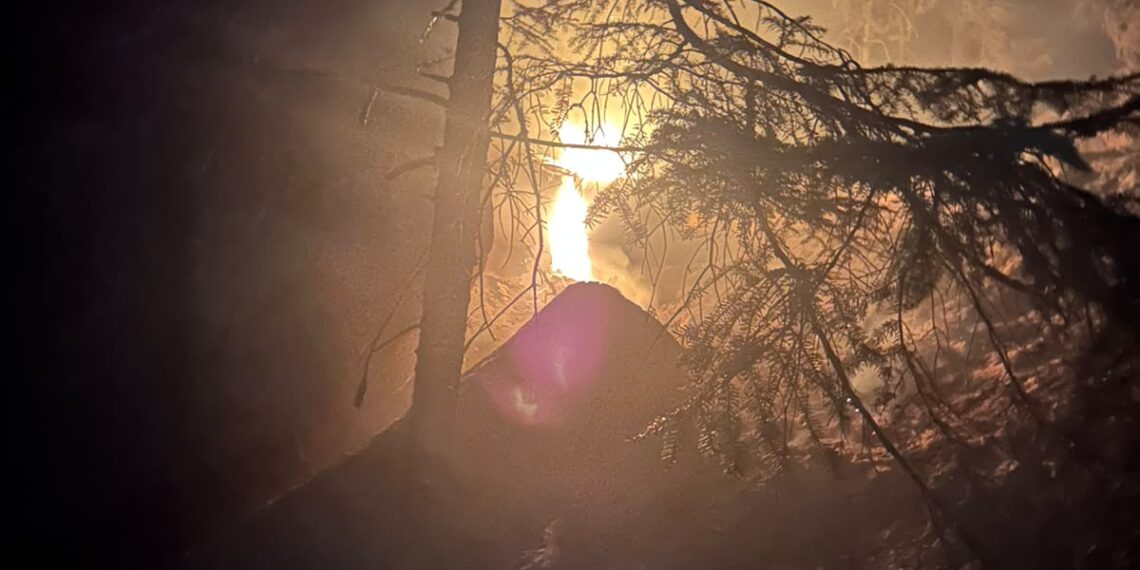 Incendiu de proporții într-o pădure din Marginea! Flăcările au cuprins aproximativ 15 hectare. Peste 100 de pompieri, silvicultori și voluntari s-au luptat cu focul. Intervenția a continuat și pe timpul nopții