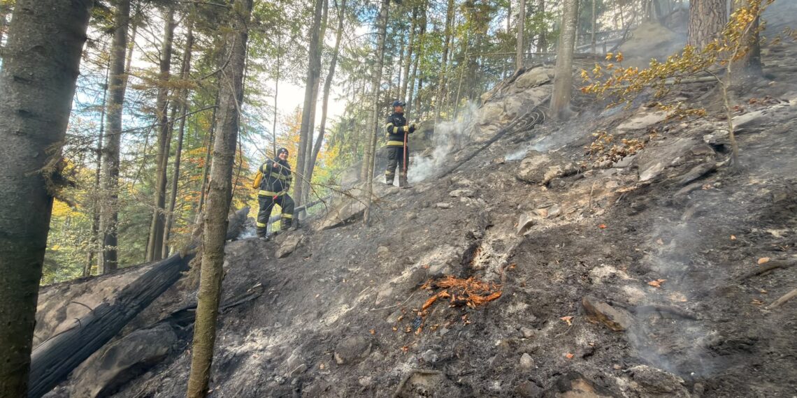Incendiu de proporții într-o pădure din Marginea! Flăcările au cuprins aproximativ 15 hectare. Peste 100 de pompieri, silvicultori și voluntari s-au luptat cu focul. Intervenția a continuat și pe timpul nopții