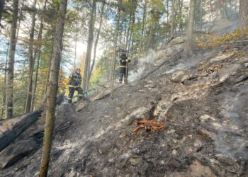 Incendiu de proporții într-o pădure din Marginea! Flăcările au cuprins aproximativ 15 hectare. Peste 100 de pompieri, silvicultori și voluntari s-au luptat cu focul. Intervenția a continuat și pe timpul nopții