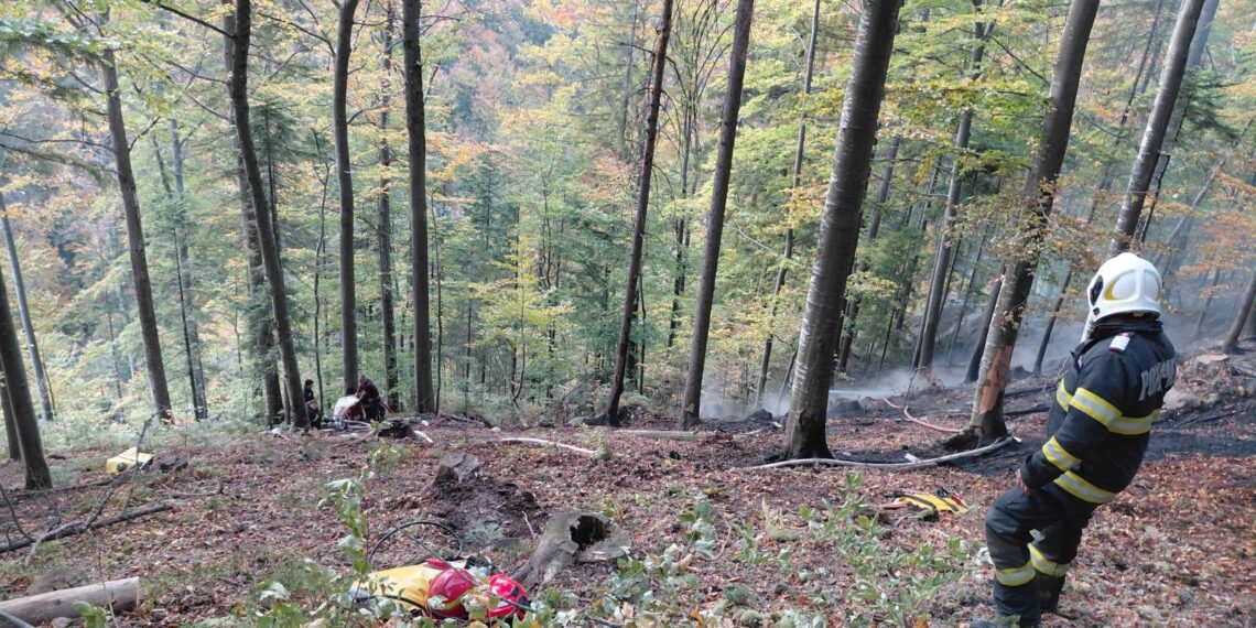 Incendiu de proporții într-o pădure din Marginea! Flăcările au cuprins aproximativ 15 hectare. Peste 100 de pompieri, silvicultori și voluntari s-au luptat cu focul. Intervenția a continuat și pe timpul nopții