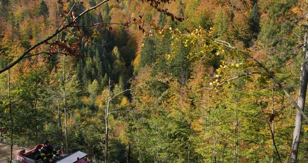 A treia zi de luptă cu incendiul din pădurea de la Marginea! Focul continuă să ardă sub pământ, alimentat de turbă. Aproximativ 15 hectare au fost afectate, iar pompierii răscolesc și inundă solul pentru a stinge focarele ascunse