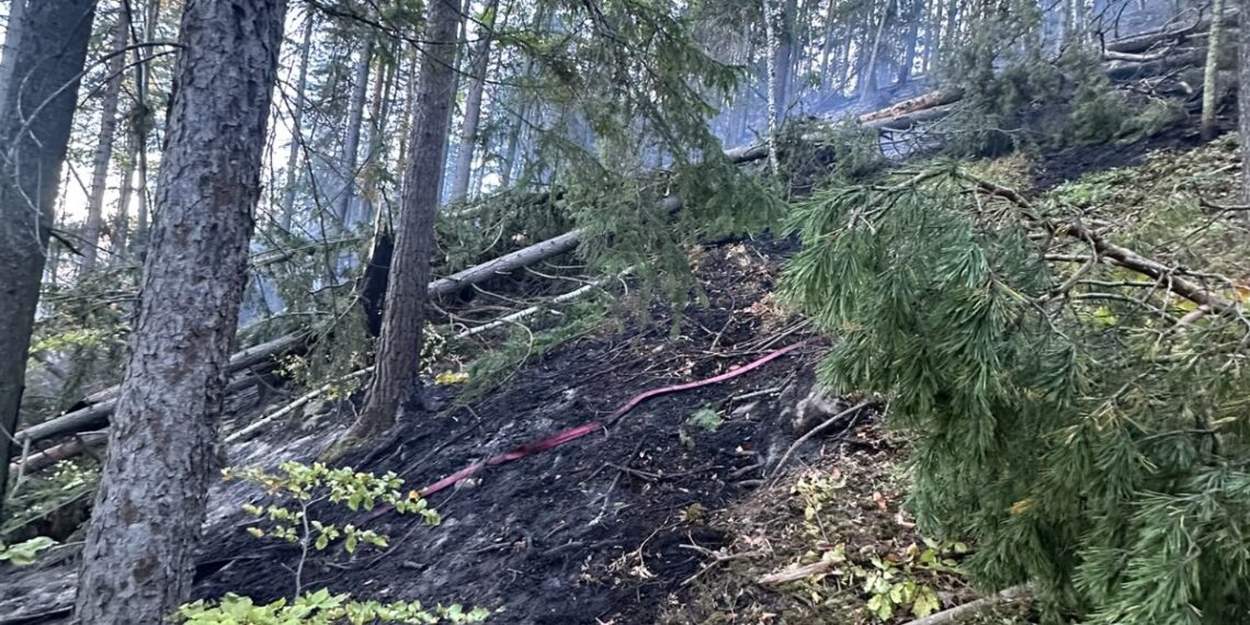 Incendiu de proporții într-o pădure din Marginea! Flăcările au cuprins aproximativ 15 hectare. Peste 100 de pompieri, silvicultori și voluntari s-au luptat cu focul. Intervenția a continuat și pe timpul nopții