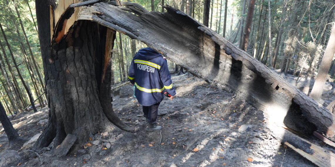 A treia zi de luptă cu incendiul din pădurea de la Marginea! Focul continuă să ardă sub pământ, alimentat de turbă. Aproximativ 15 hectare au fost afectate, iar pompierii răscolesc și inundă solul pentru a stinge focarele ascunse