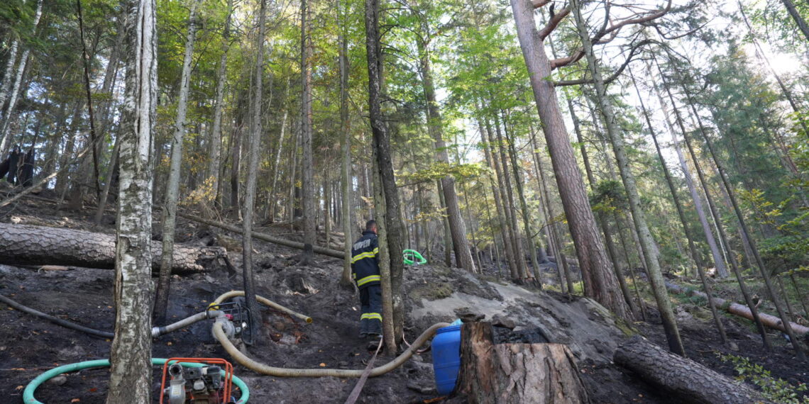 A treia zi de luptă cu incendiul din pădurea de la Marginea! Focul continuă să ardă sub pământ, alimentat de turbă. Aproximativ 15 hectare au fost afectate, iar pompierii răscolesc și inundă solul pentru a stinge focarele ascunse