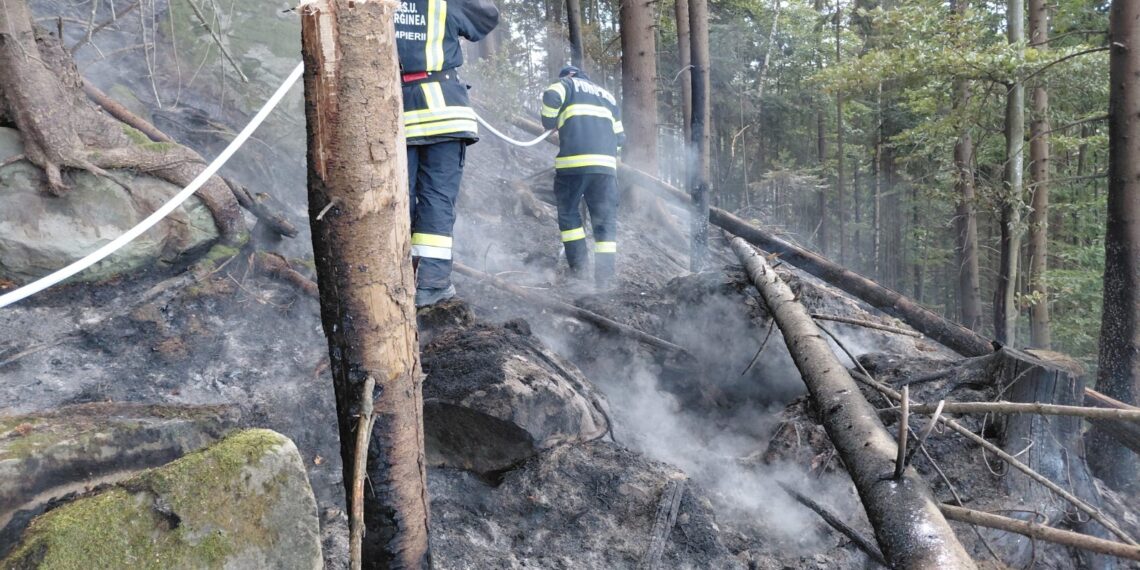Incendiu de proporții într-o pădure din Marginea! Flăcările au cuprins aproximativ 15 hectare. Peste 100 de pompieri, silvicultori și voluntari s-au luptat cu focul. Intervenția a continuat și pe timpul nopții
