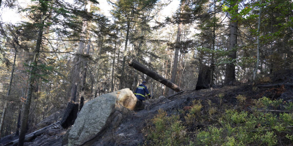 A treia zi de luptă cu incendiul din pădurea de la Marginea! Focul continuă să ardă sub pământ, alimentat de turbă. Aproximativ 15 hectare au fost afectate, iar pompierii răscolesc și inundă solul pentru a stinge focarele ascunse