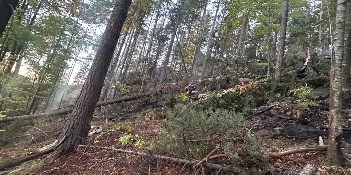 Incendiu de proporții într-o pădure din Marginea! Flăcările au cuprins aproximativ 15 hectare. Peste 100 de pompieri, silvicultori și voluntari s-au luptat cu focul. Intervenția a continuat și pe timpul nopții