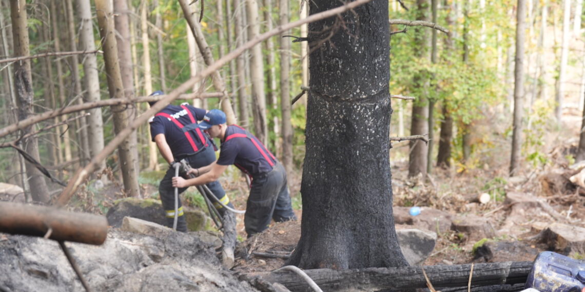 A treia zi de luptă cu incendiul din pădurea de la Marginea! Focul continuă să ardă sub pământ, alimentat de turbă. Aproximativ 15 hectare au fost afectate, iar pompierii răscolesc și inundă solul pentru a stinge focarele ascunse