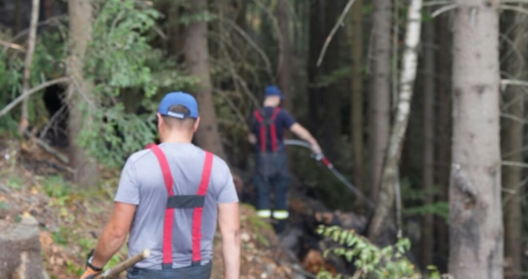 A treia zi de luptă cu incendiul din pădurea de la Marginea! Focul continuă să ardă sub pământ, alimentat de turbă. Aproximativ 15 hectare au fost afectate, iar pompierii răscolesc și inundă solul pentru a stinge focarele ascunse