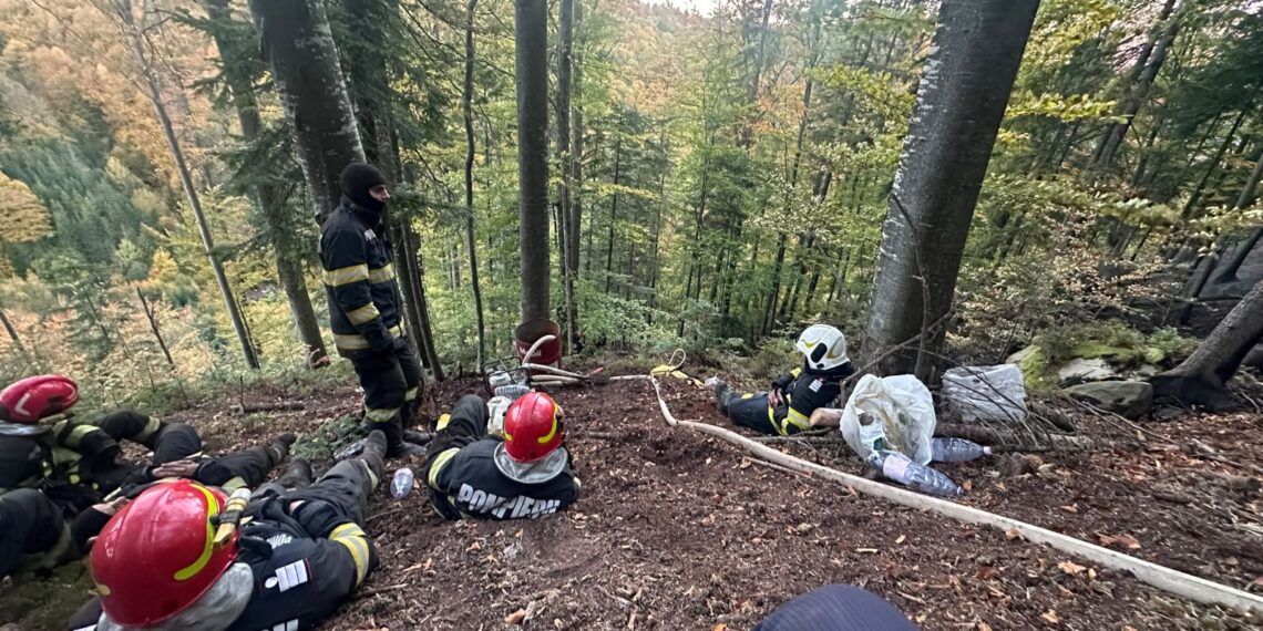 Incendiu de proporții într-o pădure din Marginea! Flăcările au cuprins aproximativ 15 hectare. Peste 100 de pompieri, silvicultori și voluntari s-au luptat cu focul. Intervenția a continuat și pe timpul nopții
