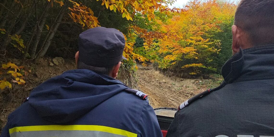 A treia zi de luptă cu incendiul din pădurea de la Marginea! Focul continuă să ardă sub pământ, alimentat de turbă. Aproximativ 15 hectare au fost afectate, iar pompierii răscolesc și inundă solul pentru a stinge focarele ascunse