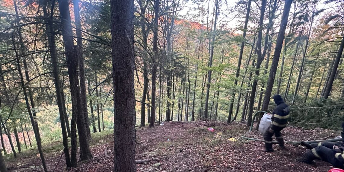 Incendiu de proporții într-o pădure din Marginea! Flăcările au cuprins aproximativ 15 hectare. Peste 100 de pompieri, silvicultori și voluntari s-au luptat cu focul. Intervenția a continuat și pe timpul nopții