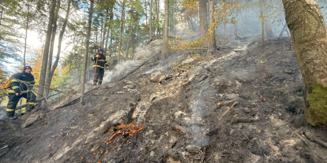 Incendiu de proporții într-o pădure din Marginea! Flăcările au cuprins aproximativ 15 hectare. Peste 100 de pompieri, silvicultori și voluntari s-au luptat cu focul. Intervenția a continuat și pe timpul nopții