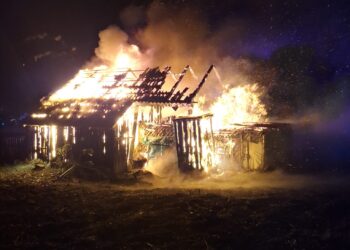 Incendiu într-o gospodărie din Zaharești. O magazie și un adăpost pentru animale au ars pe o suprafață de 60 de metri pătrați. Pompierii au salvat casa de locuit