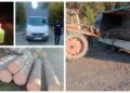 Ghinionul s-a abătut peste micii transportatori de lemne fără acte din zona Rădăuți! În doar câteva ore, polițiștii au prins cinci autoutilitare cu peste 12 metri cubi de lemn fără acte. Au împărțit amenzi și au confiscat marfa