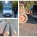 Ghinionul s-a abătut peste micii transportatori de lemne fără acte din zona Rădăuți! În doar câteva ore, polițiștii au prins cinci autoutilitare cu peste 12 metri cubi de lemn fără acte. Au împărțit amenzi și au confiscat marfa