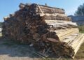 Bilanțul Gărzii Forestiere Suceava pentru luna septembrie: amenzi de 232.000 de lei, peste 1.300 de metri cubi de lemn confiscați fizic sau valoric și 44 de avize neconforme în SUMAL