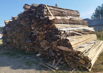 Bilanțul Gărzii Forestiere Suceava pentru luna septembrie: amenzi de 232.000 de lei, peste 1.300 de metri cubi de lemn confiscați fizic sau valoric și 44 de avize neconforme în SUMAL