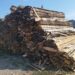 Bilanțul Gărzii Forestiere Suceava pentru luna septembrie: amenzi de 232.000 de lei, peste 1.300 de metri cubi de lemn confiscați fizic sau valoric și 44 de avize neconforme în SUMAL