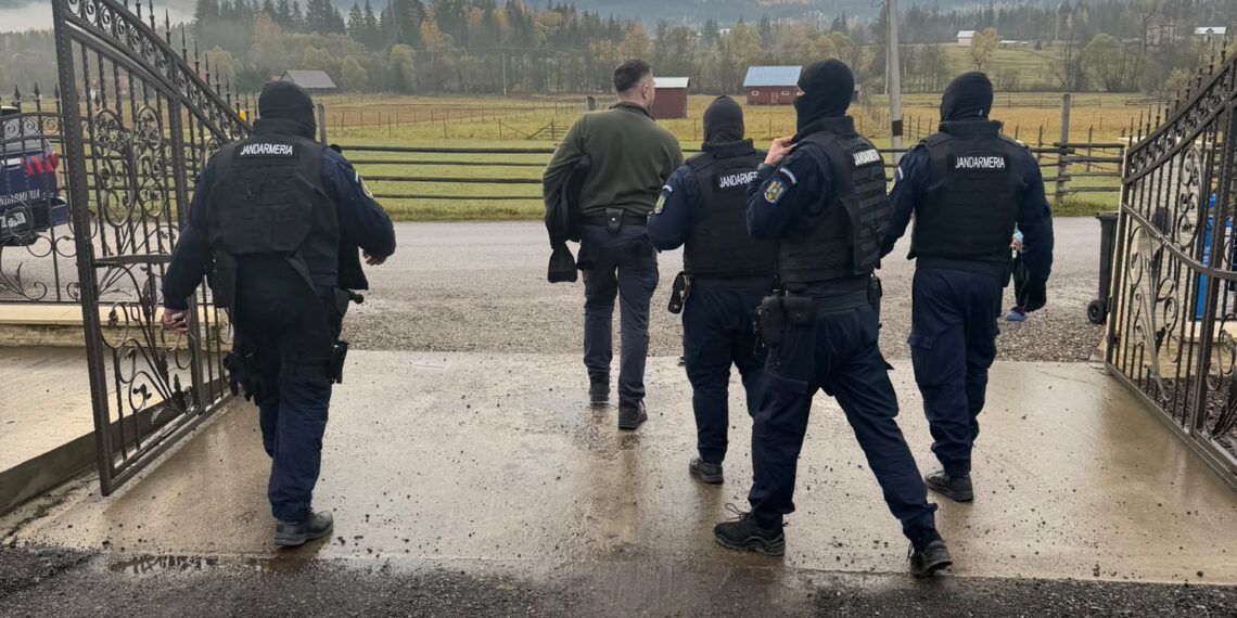 Patru percheziții la Poiana Negrii, într-un dosar de transport ilegal de lemn și posibile falsificări de date în sistemul informatic forestier. Un camion Volvo de 40.000 de euro a fost indisponibilizat